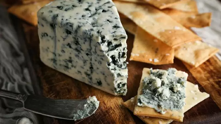 Danish Blue藍紋丹麥起司乳酪 